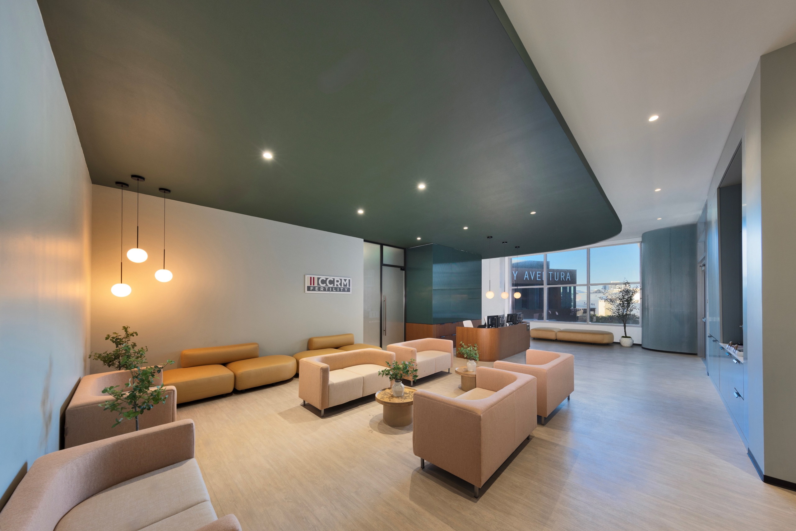 Consultation services